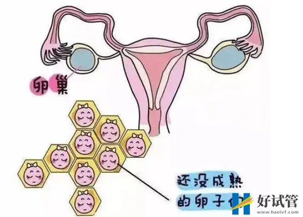 郑大一附院取精费用大概是多少钱？郑大一附院取精时间安排在何时 (图2)