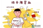 详解去泰国做试管婴儿攻略及费用！赴泰试管
